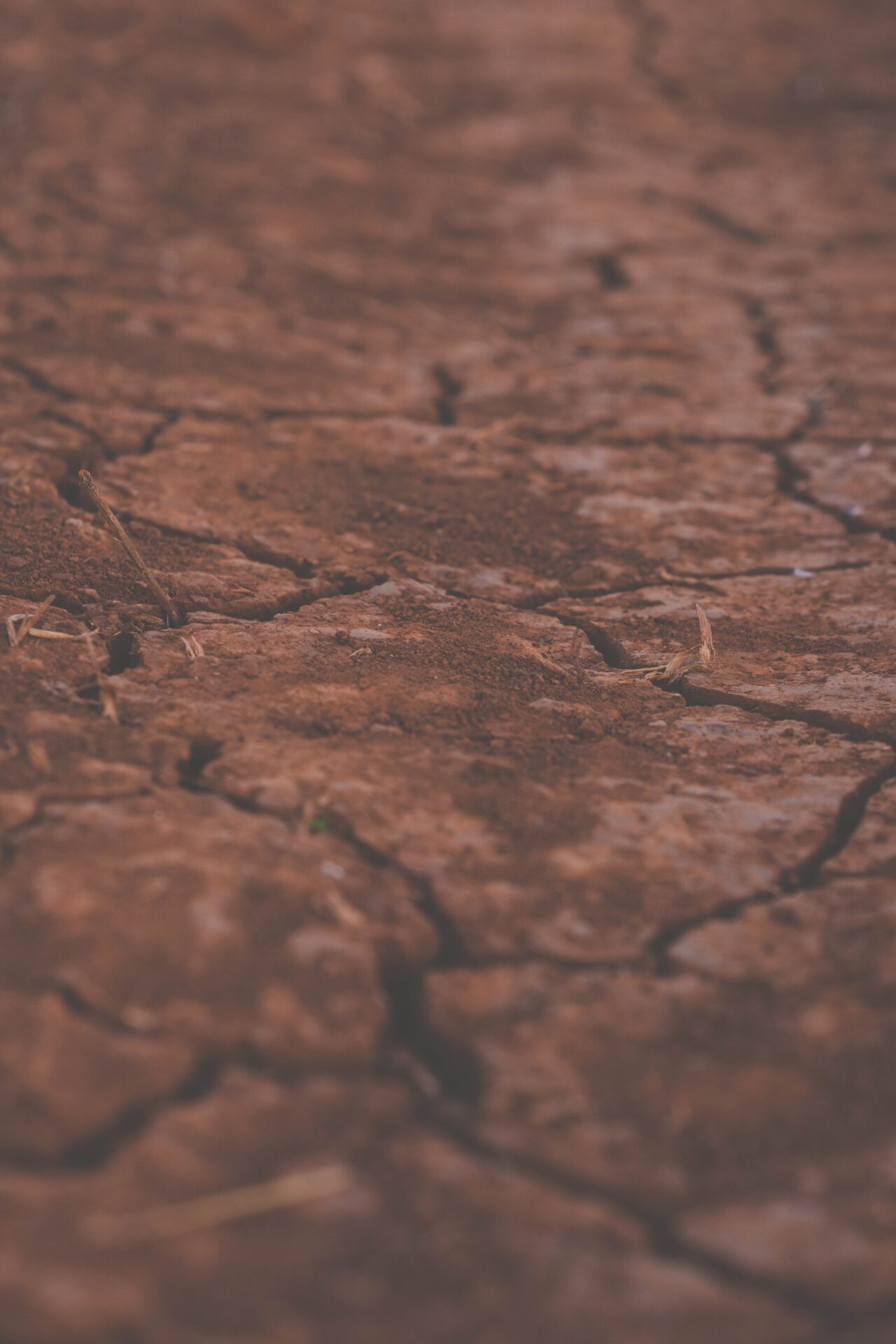 why government should release its own land first