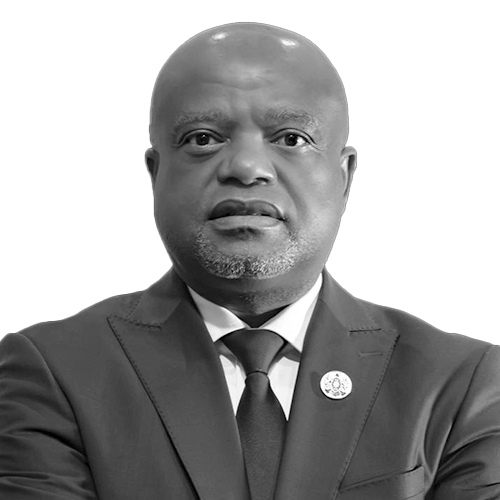 mayor sayd metro centre refurb will cost r800m